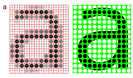 Sampling grid
